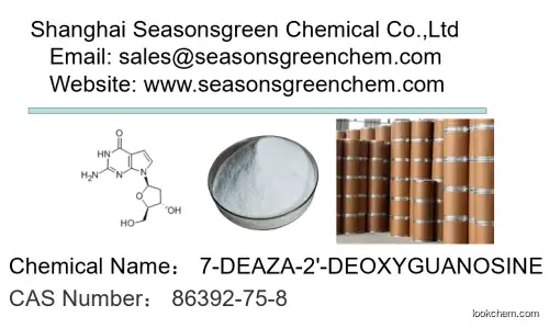 7-DEAZA-2'-DEOXYGUANOSINE