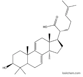 3β-Hydroxy-5α-lanosta-7,9(11),24-trien-21-oic acid CAS 29220-16-4