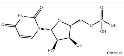 Uridine Monophosphate     58-97-9