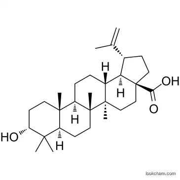 Epibetulinic acid  cas 38736-77-5