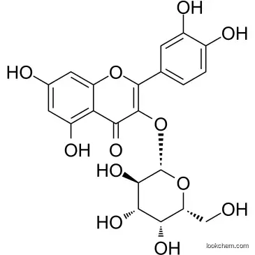 Hyperoside   cas  482-36-0