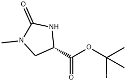 TERT-BUTYL(4S)-1-METHYL-2-OXOIMIDAZOLIDINE-4-CARBOXYLATE