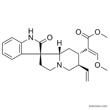 Isocorynoxeine  cas  51014-29-0