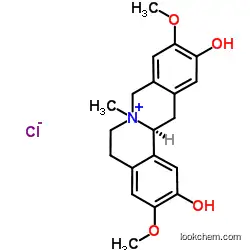 PHELLODENDRINE CHLORIDE   cas 104112-82-5