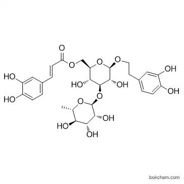 Isoacteoside  cas 61303-13-7