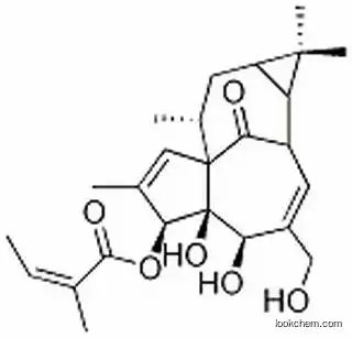 Ingenol-3-angelate  75567-37-2