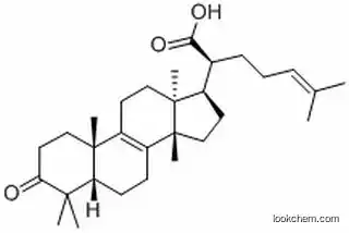 BETA-ELEMONIC ACID  28282-25-9