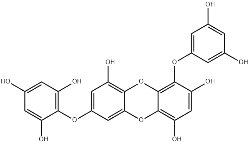 7-Phloroeckol  662165-35-7