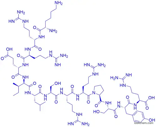 CREBtide