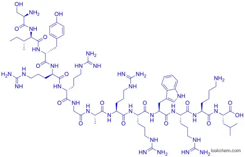 PKCζ Pseudosubstrate Inhibitor