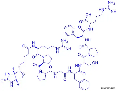 BIOTIN-ARG-PRO-PRO-GLY-PHE-SER-PRO-PHE-ARG-OH