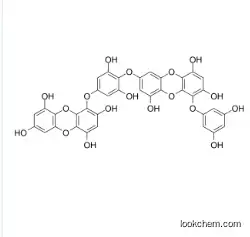 Dieckol cas  88095-77-6