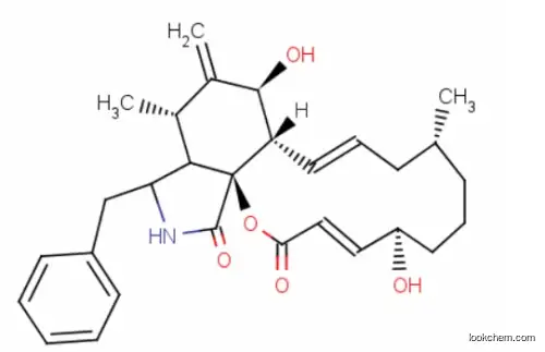 CYTOCHALASIN B CAS:14930-96-2