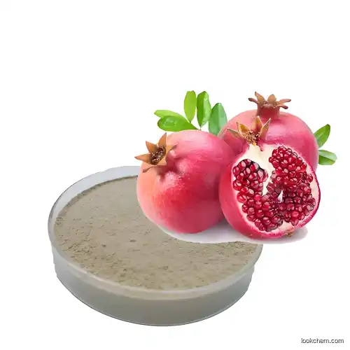 China Biggest factory manufacturer supply Pomegranate Peel Extract (Ellagic Acid) 90% 95% 98% CAS476-66-4