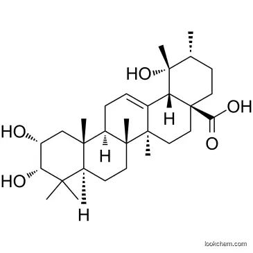 Euscaphic acid  CAS 53155-25-2