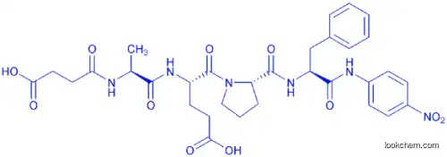 SUC-ALA-GLU-PRO-PHE-PNA