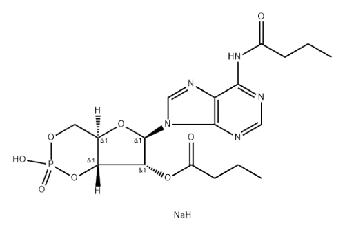 Bucladesine sodium