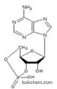 Cyclic Adenosine-3', 5'-Monophosphate cAMP