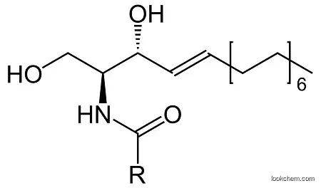 Ceramides