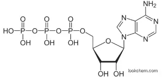 ADENOSINE 5'-TRIPHOSPHATASE CAS 9000-83-3