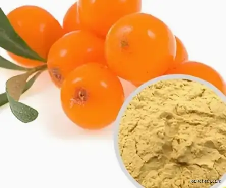 Sea buckthorn, Hippophae rhamnoides, ext. CAS 90106-68-6