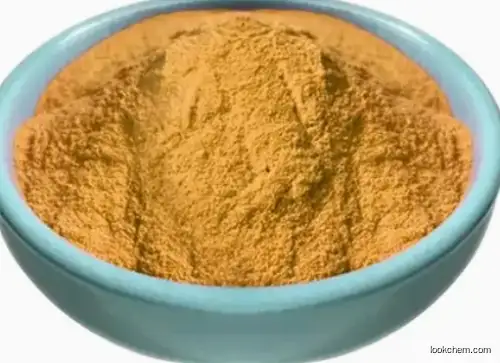 Sea buckthorn, Hippophae rhamnoides, ext. CAS 90106-68-6