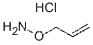 O-Allylhydroxylamine Hydrochloride