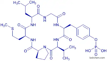 CYCLO(-GLY-TYR(PO3H2)-VAL-PRO-MET-LEU)