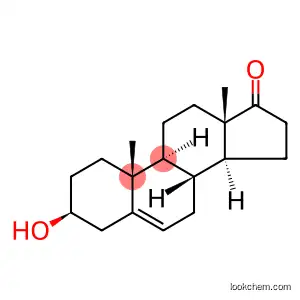 Dehydroepiandrosterone           53-43-0