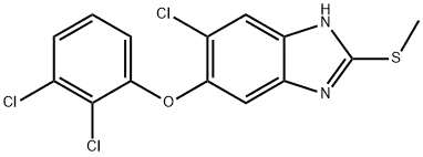 FASINEX