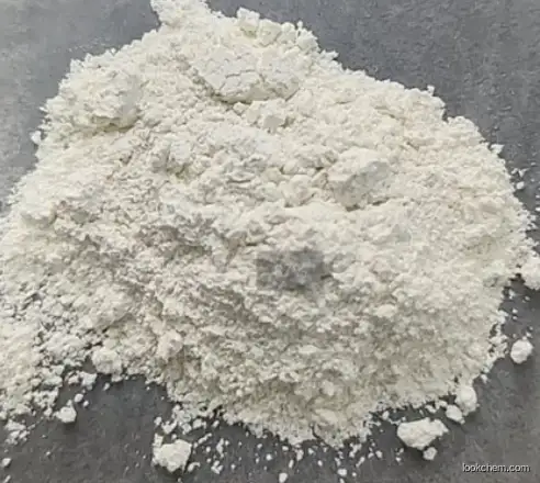 GLOBULINS, CAT GAMMA CAS:9007-83-4
