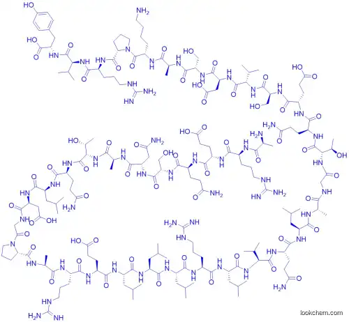 Copeptin (rat)