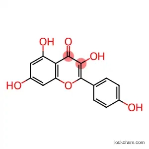 Kaempferol                       520-18-3