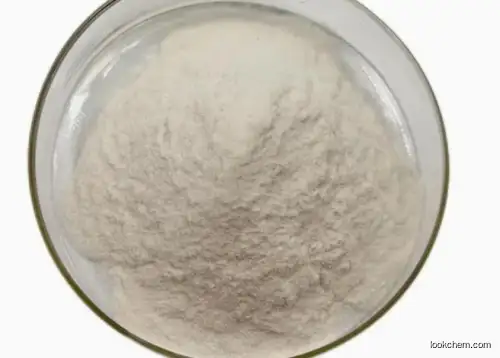 Xylanase Enzyme CAS 9025-57-4