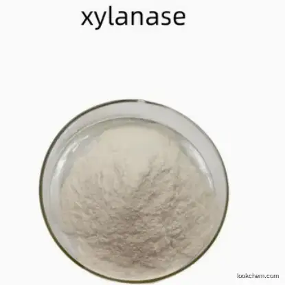 Xylanase Enzyme CAS 9025-57-4