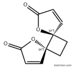 Anemonine                 508-44-1