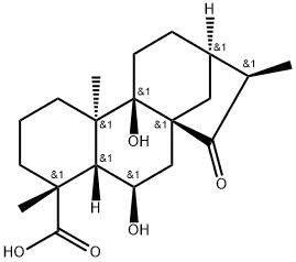 Pterisolic acid D CAS No.: 1401419-88-2