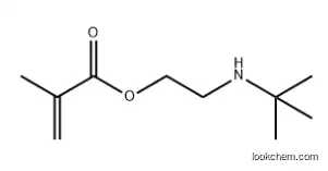 2-(TERT-BUTYLAMINO)ETHYL MET CAS No.: 3775-90-4