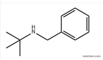 N-(tert-Butyl)benzylamine            3378-72-1