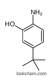 Phenol, 2-amino-5-(1,1-dimet CAS No.: 1199-47-9