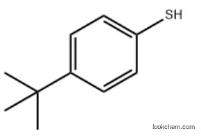 4-tert-Butylthiophenol           2396-68-1