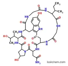 gamma-amanitin CAS 21150-23-2