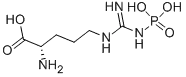 N5-[imino(phosphonoamino)met CAS No.: 1189-11-3