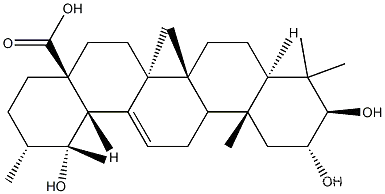 2α,19α－Dihydroxyursolic acid