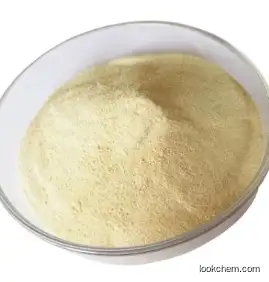 4-[(6-nitroquinolin-4-yl)amino]-N-[4-(pyridin-4-ylamino)phenyl]benzamide CAS 50440-30-7