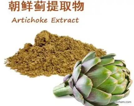 Artichoke, ext. CAS 84012-14-6