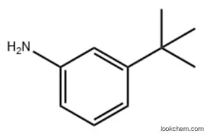 3-(TERT-BUTYL)ANILINE             5369-19-7