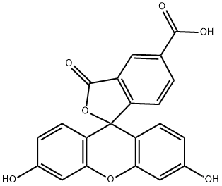 5-Carboxyfluorescein