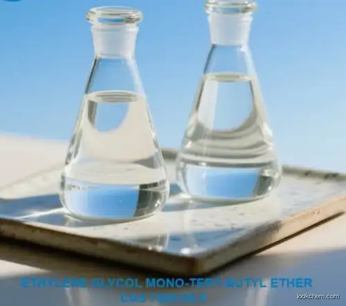 Ethylene Glycol Mono-tert-butyl Ether CAS 7580-85-0