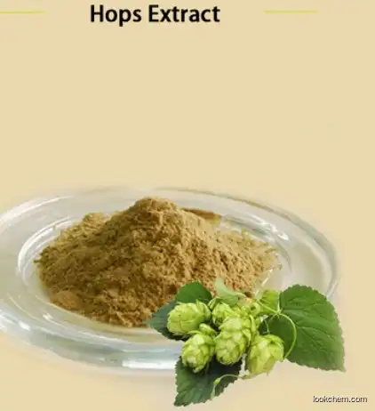 Hop, Humulus lupulus, ext. CAS 8060-28-4